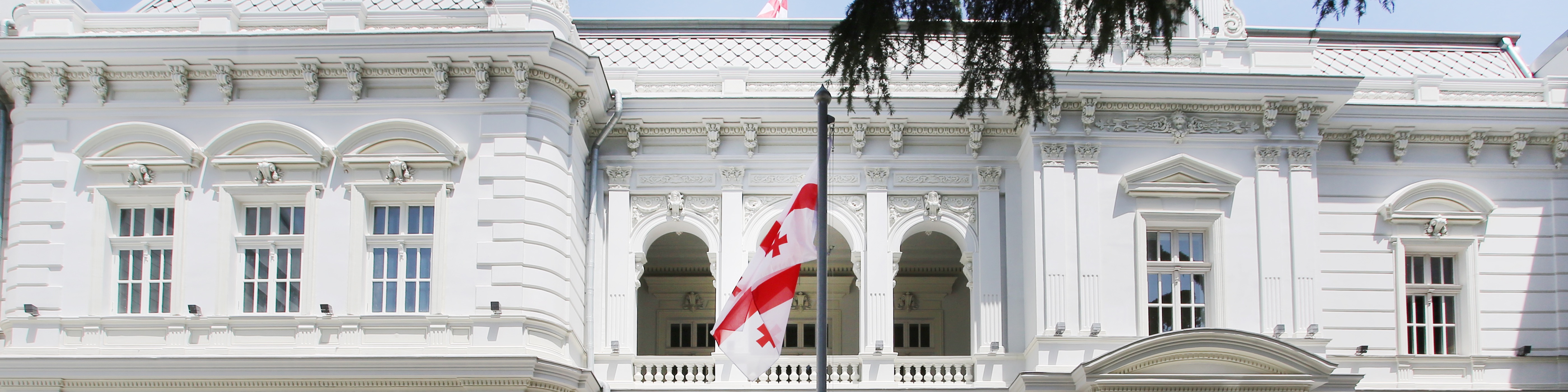 Georgian Citizenship for Foreigners