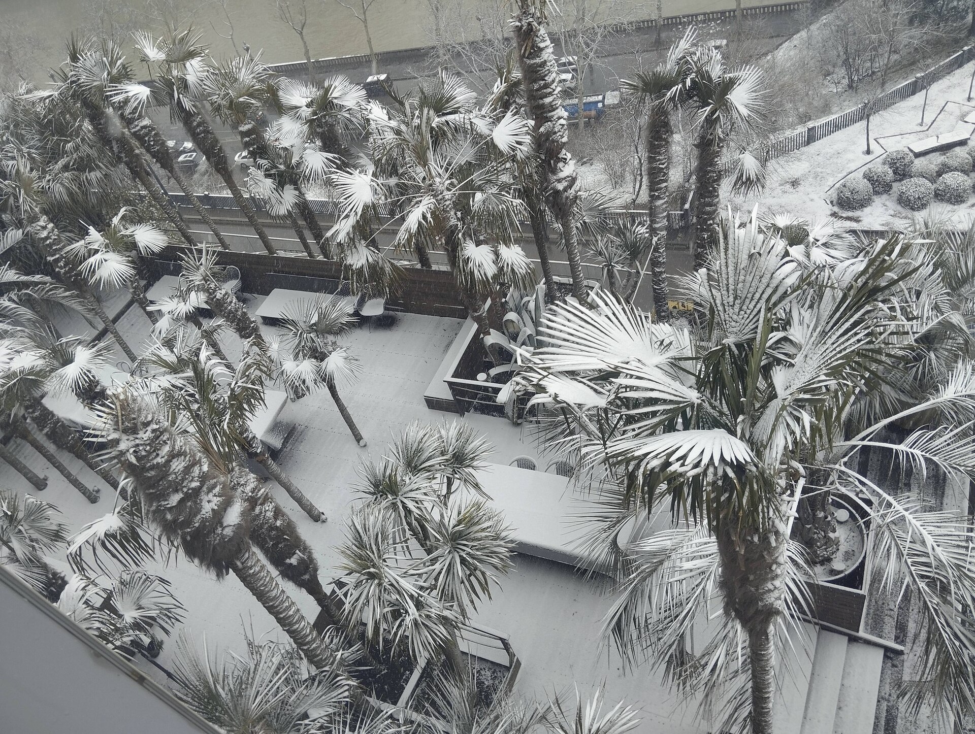 Tbilisi under snow in February 2026