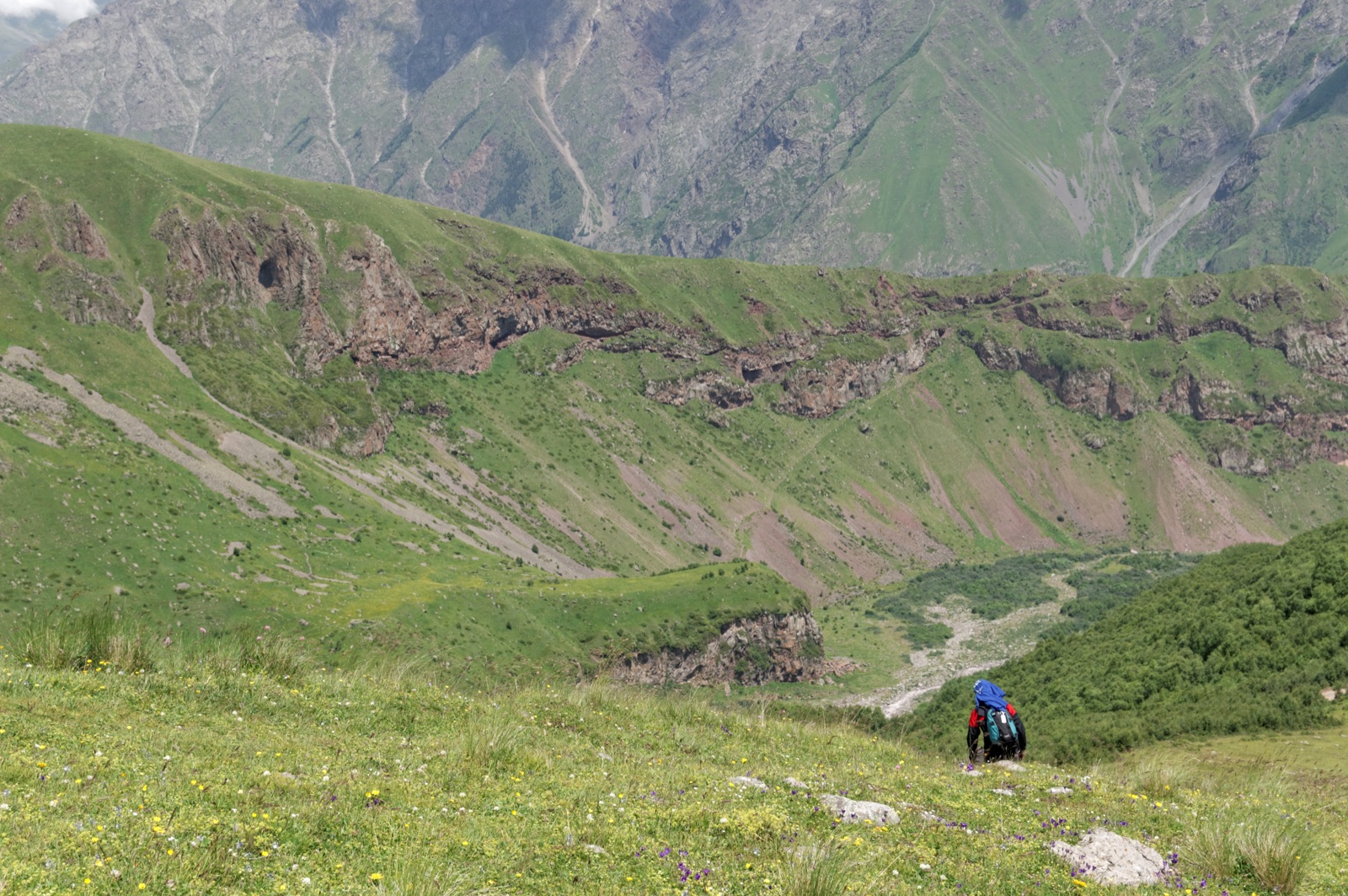 A hiker with a backpack descending through a flowering meadow under Mount Kazbek