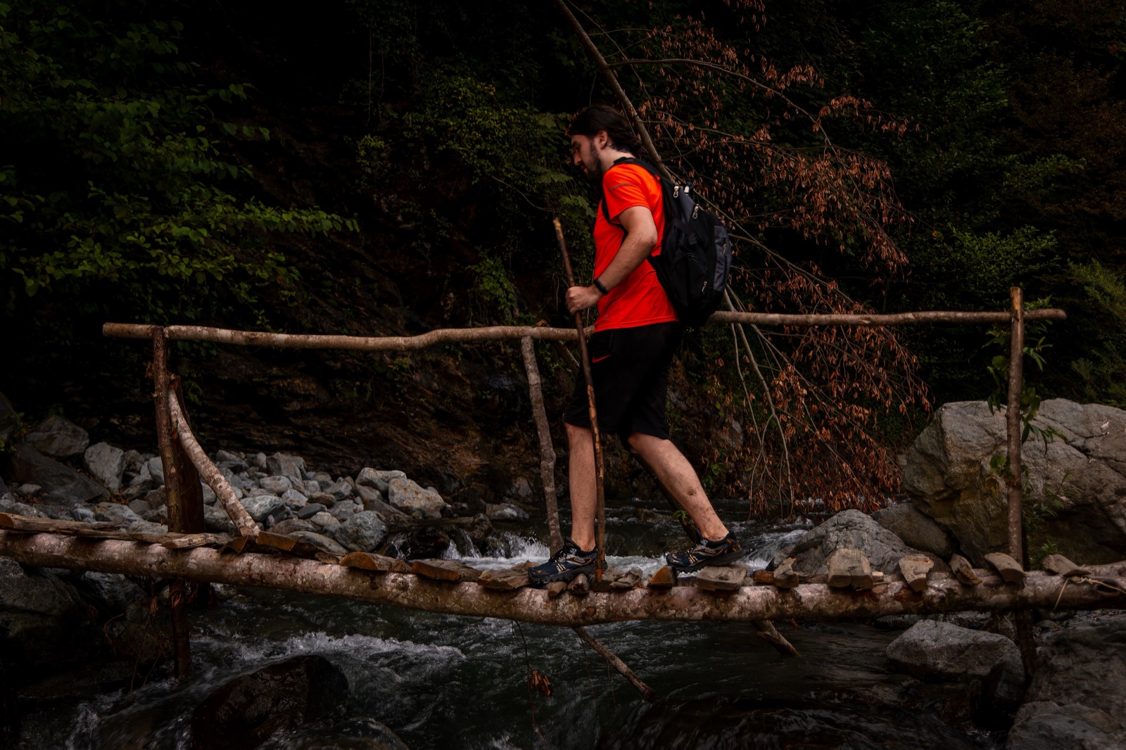 A hiker crossing a mountain stream on a log bridge in the Lagodekhi reserve