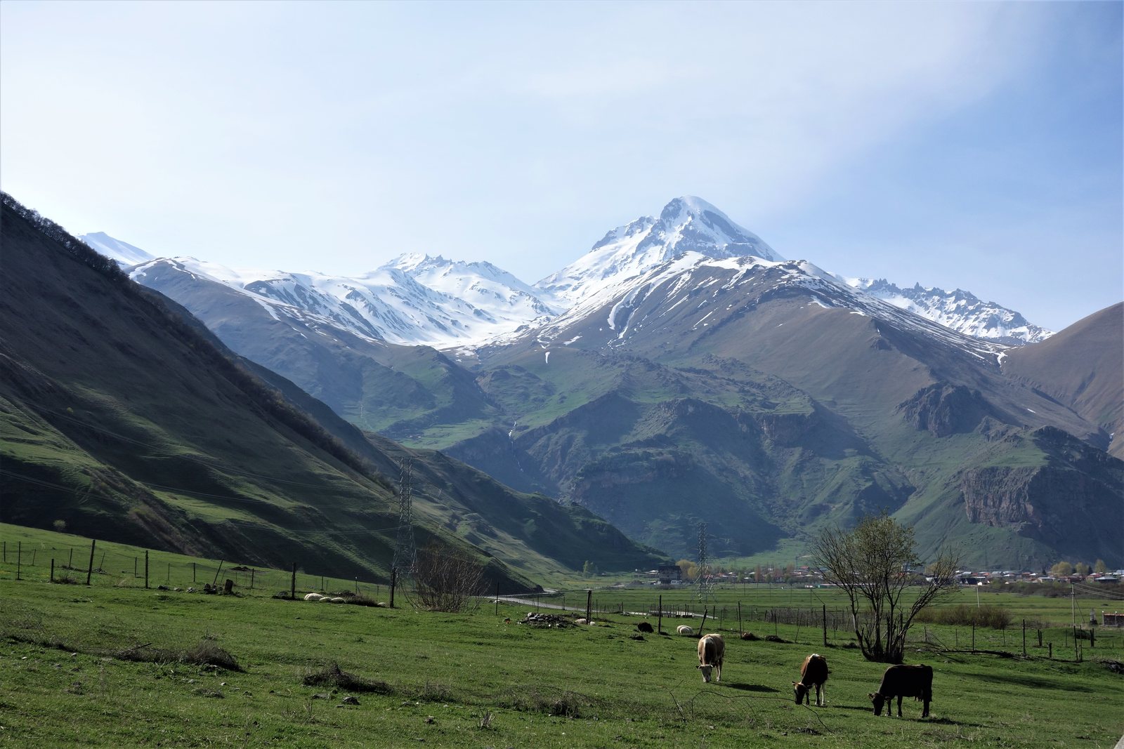 El monte Kazbek sobre un valle verde cerca del pueblo de Sno en mayo