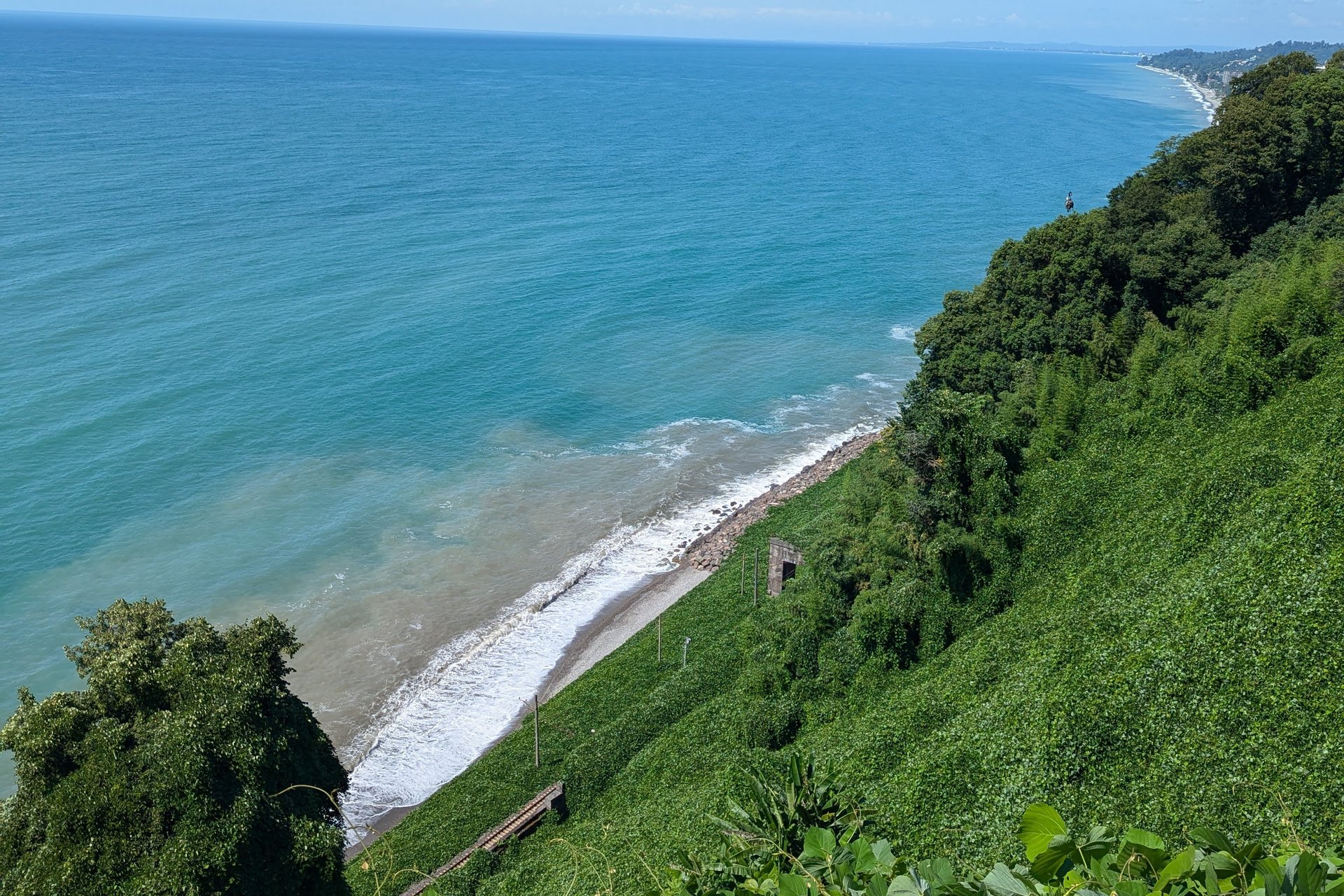 The sea seen from the hillside of the Batumi Botanical Garden