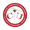 Caucasus International University