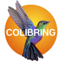 Colibring